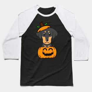 Funny dachshund is in a pumpkin Baseball T-Shirt